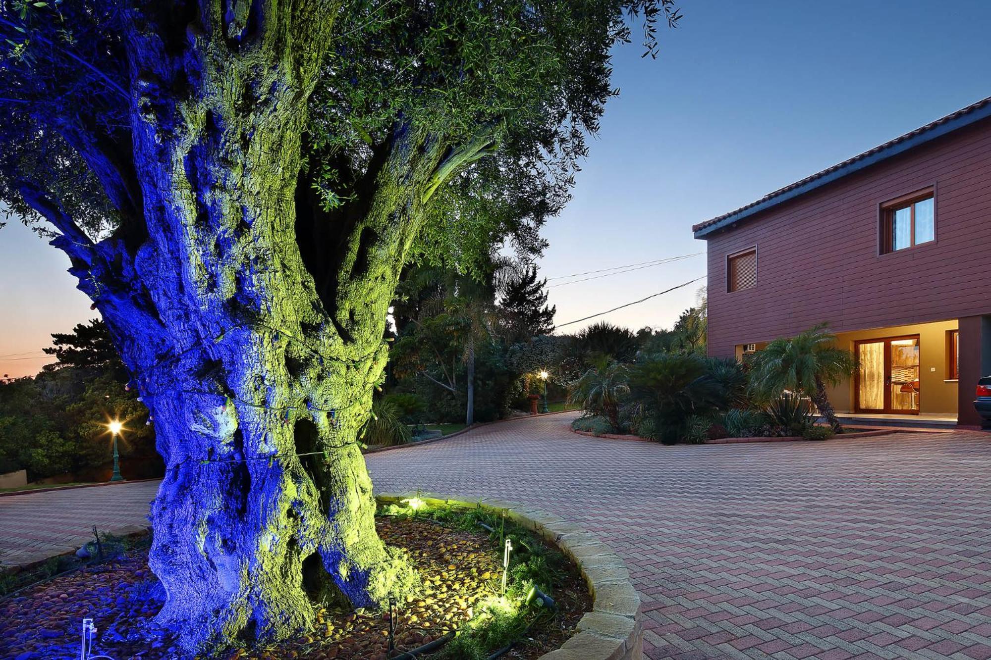 Olive Tree Apartments Limisso Esterno foto